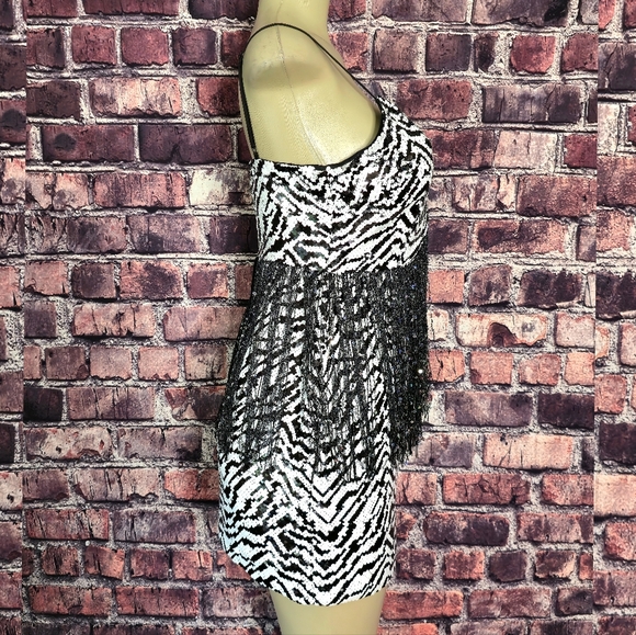 Wild Nights Zebra Sequin Fringe Dress - Picture 4 of 9